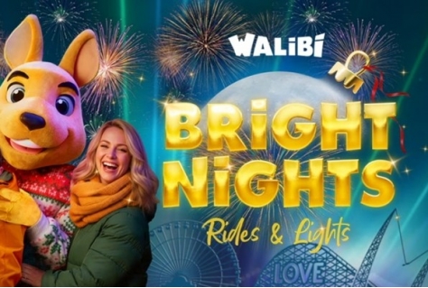 Laser en gezellige lampjes maken Bright Nights