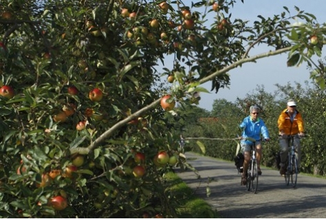 Toerisme en recreatie sterk afhankelijk van ecosysteemdiensten