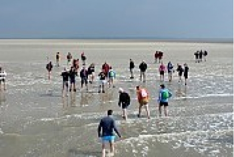 Werelderfgoed Waddenzee heeft ondernemers nodig