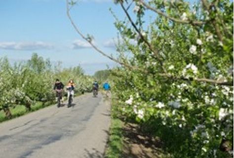 Fietsseizoen weer van start met vernieuwd portal