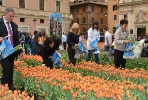 PR-actie luchtverbinding Rome: 10.000 tulpenbollen Piazza San Silvestro