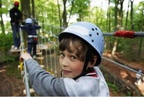 Fun Forest in Rotterdam