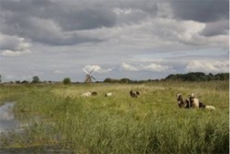 Provincie wil weten hoe Groningers natuur beleven