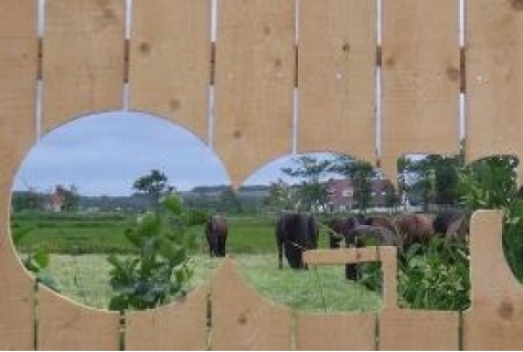 Staatsbosbeheer zet Oerol in voor Sense of Nature