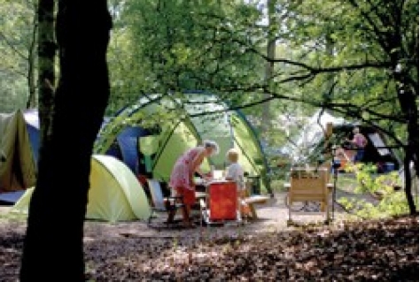 Vrijwillige gastvrouwen en -heren groot succes op Kennemer Duincamping Geversduin