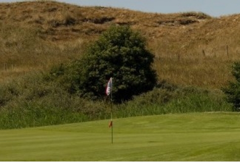 Golfbaan Texel blijkt vogelparadijs