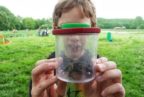 Duizenden leerlingen doen mee aan NatuurEducatieProject van RGV