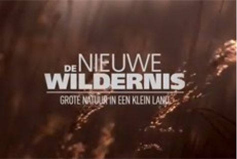 De Nieuwe Wildernis