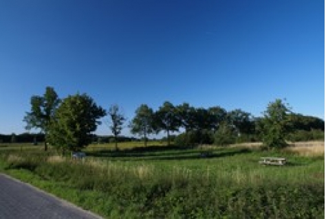 Burgers vinden natuur belangrijk voor eigen welzijn