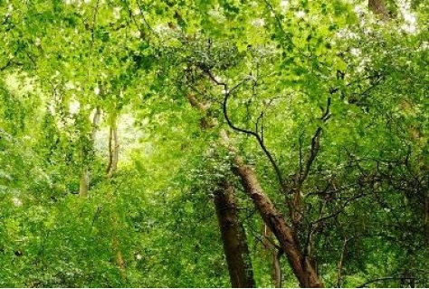 Feest met Fête de la Nature