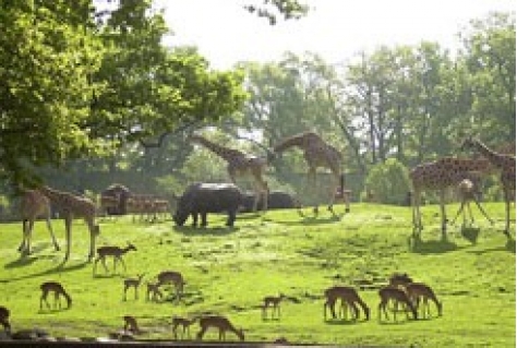 beLEVENspark biedt bezoekers 4D-toer door Poolgebied