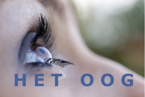 Het Oog: “Podiumkunst bereidt ons voor op het onbekende”