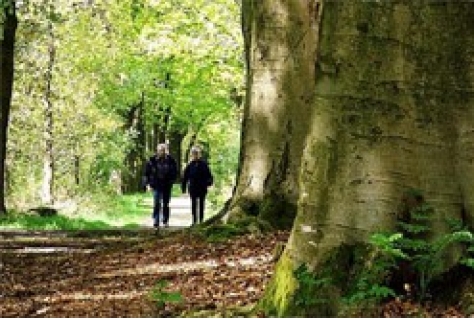 Friesland populaire fiets- en wandelprovincie