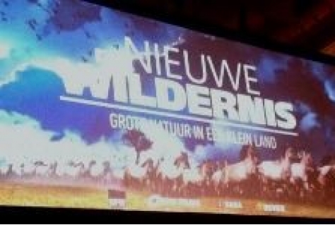 Wat is wildernis?