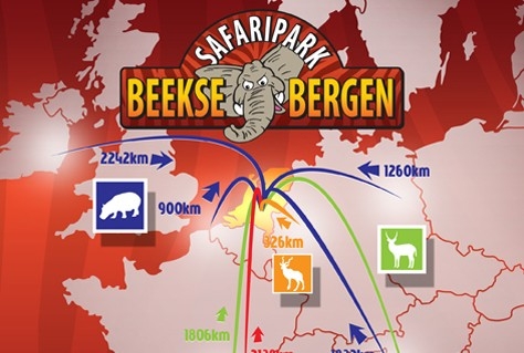 Beekse Bergen krijgt nijlpaarden en krokodillen