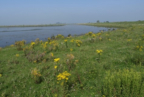 Actieagenda Natuur en Gastvrijheid