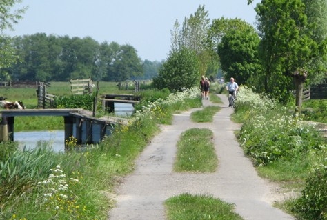 Wandelen en fietsen in de natuur: ophokken en inblikken?