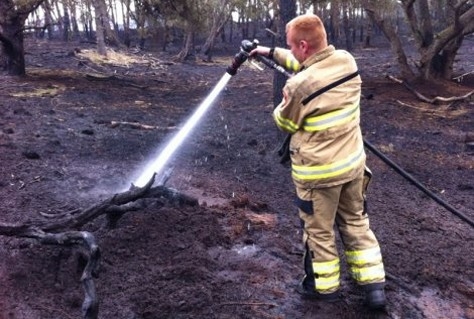 Flinke financiële strop door brand Nationaal Park de Hoge Veluwe 