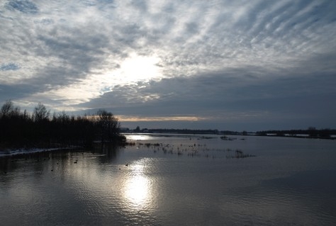 Rijkswaterstaat rondt grote schoonmaak Dordtse Biesbosch af