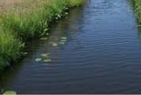 Waterberging en natuur in faunapassage