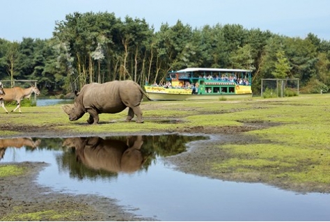 Drukste maand ooit voor Safaripark Beekse Bergen