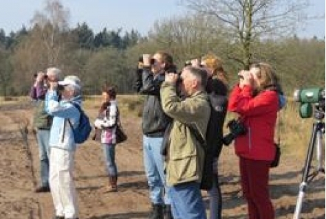 Subsidie voor opleiding natuurgidsen Groene Woud