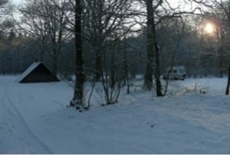 Vanaf 1 november winterkamperen bij Staatsbosbeheer