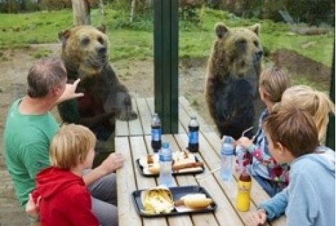 Dierenrijk toch tweede plek in beste dierentuin 2014