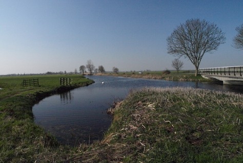 Zuid-Holland investeert in groen