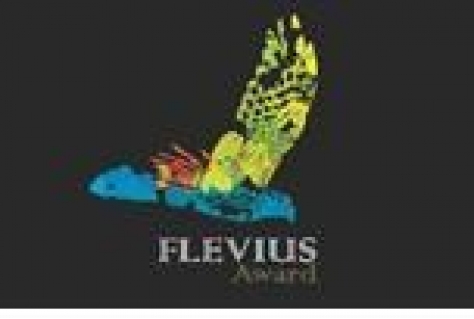 Drie kanshebbers op Flevius Award 2014