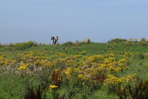 Steeds minder leden voor Natuurorganisaties 