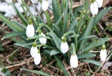 NRIT nieuwsupdate donderdag 12 februari 2015