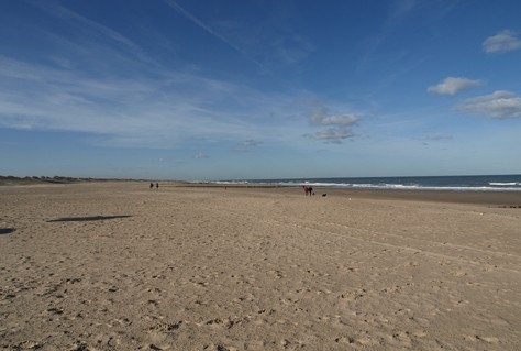 Adjiedj Bakas: Zeeland kan het Florida van de Lage Landen worden