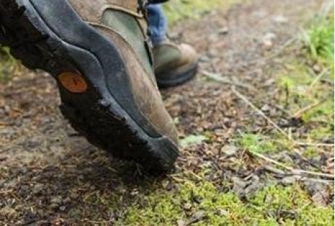 Elfstedenwandelpad gaat open