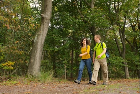 Vijf nieuwe NS-wandelingen in jubileumjaar