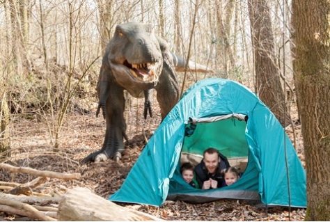 Nachtje slapen in DinoPark Amersfoort