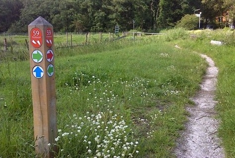 Wandelroutes Laag-Holland over naar genummerde keuzepunten