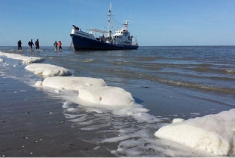 Nieuw initiatief: Yoga op de Engelsmanplaat op het Wad