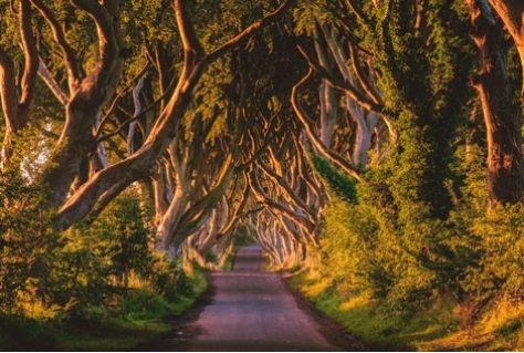 Tourism Ireland start grote campagne rond 5e seizoen Game of Thrones 