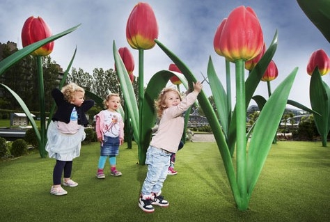 Reuzentulpen in Madurodam