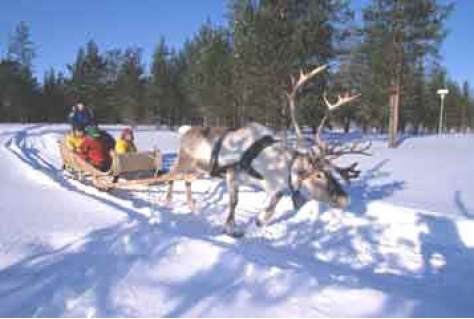 Arke past winteraanbod aan door trends naar winterbeleving