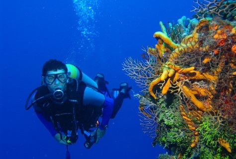 St. Eustatius: een duikparadijs met gebreken