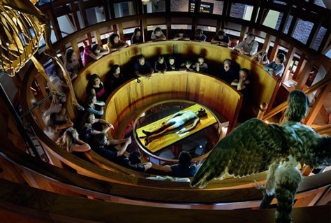 Anatomisch theater in Museum Boerhaave genomineerd voor internationale design prijs