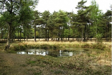 Overijssel steekt 170 miljoen in plattelandsontwikkeling