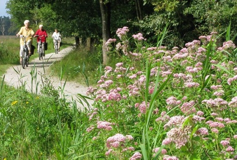 Ligt het recreatiefietspad van de toekomst in Emmen?