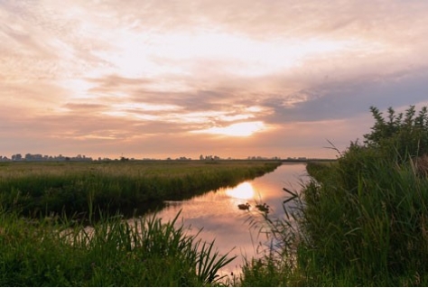 Meer samenhang in recreatiebeleid voor Groene Hart