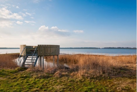 Biesbosch Streekfonds geeft 60.000 euro subsidie aan projecten