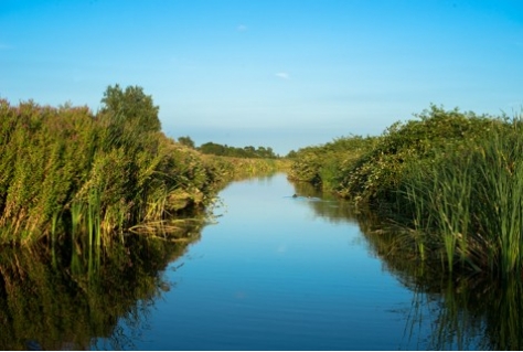 Recreatie Noord-Holland wint Nationale Business Succes Award 2016 voor natuurbehoud