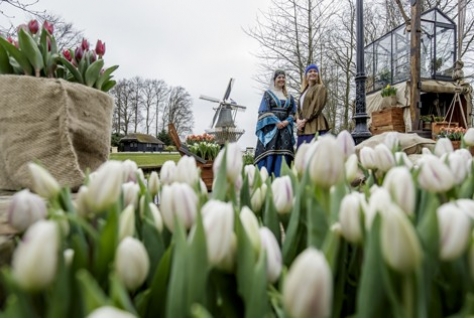 Keukenhof viert de Gouden Eeuw