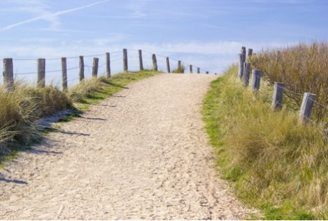 Zeeuwse stranden en Waddeneilanden domineren top 10 beste Nederlandse stranden